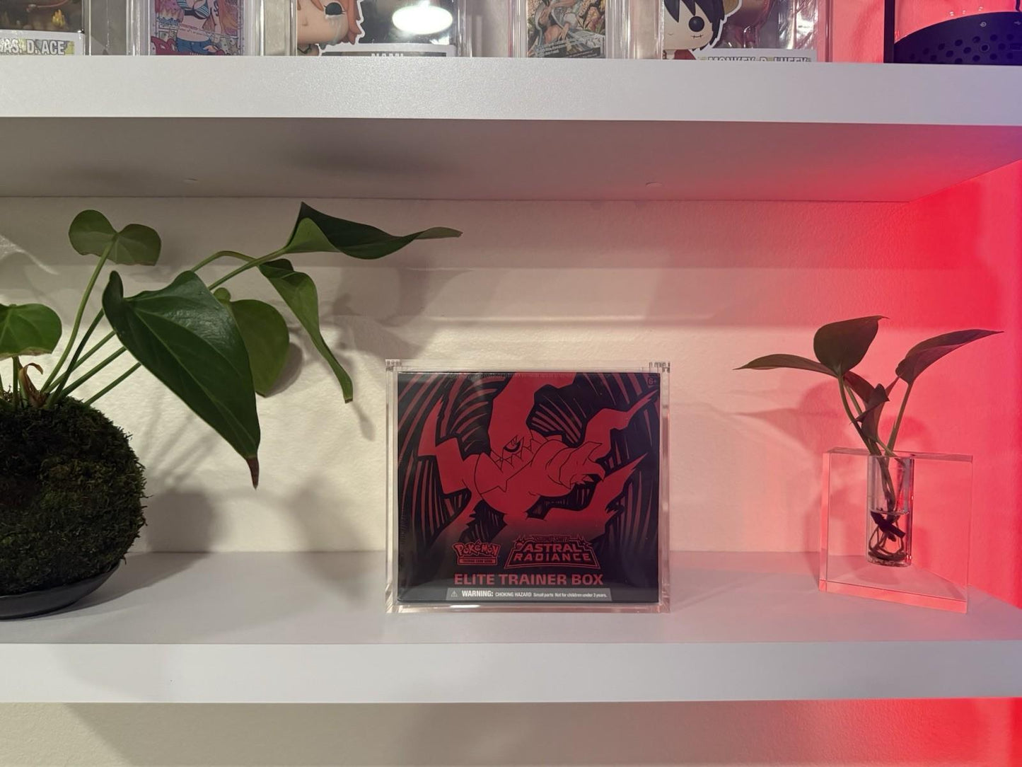 Pokemon ETB Acrylic Case With Magnetic Lid