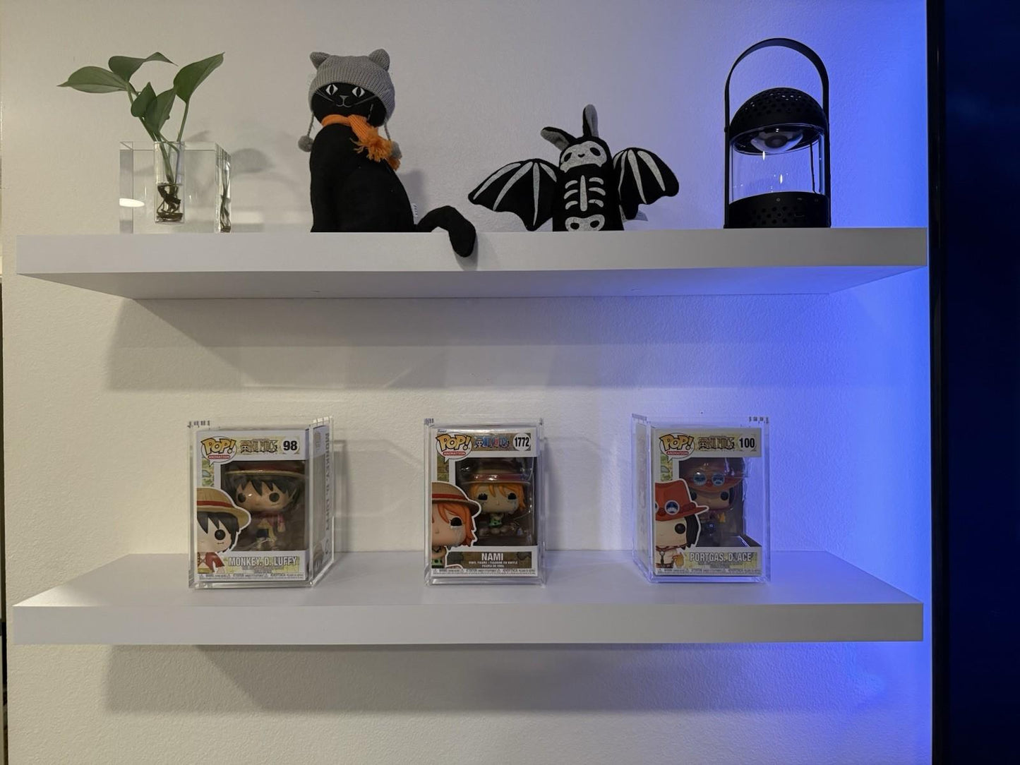 Funko Pop Acrylic Case | Magnetic Lid | Custom Fit | High Quality Display Case