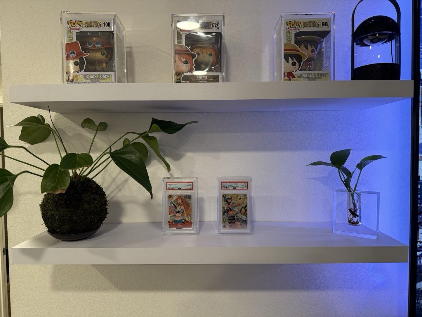 PSA/CGC/TAG Graded Card Slab Acrylic Case Display With Magnetic Lid