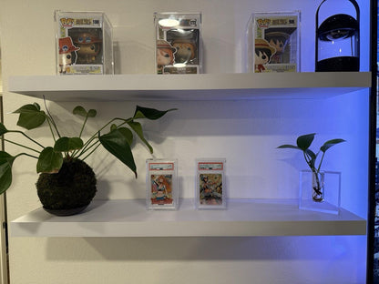 PSA/CGC/TAG Graded Card Slab Acrylic Case Display With Magnetic Lid